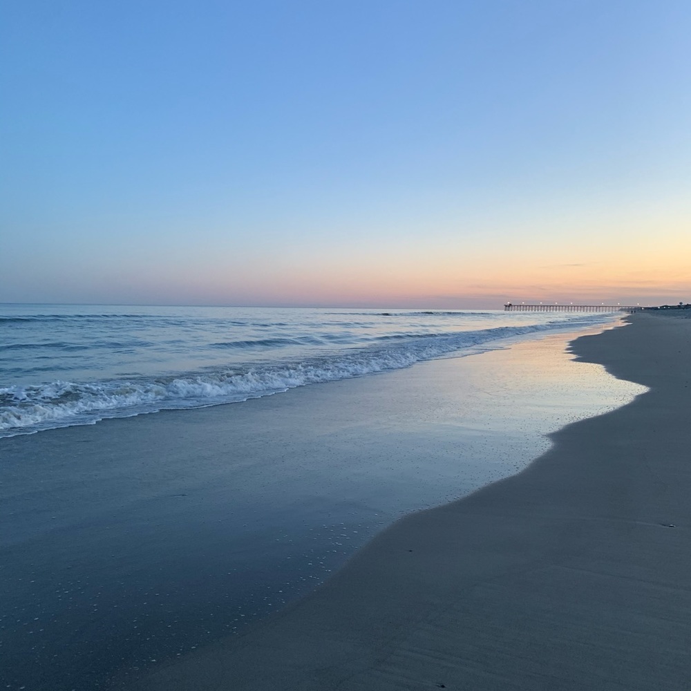 🚨🌊 🌹 🐟 Rose is LIVE -SHARE Show 🤩 LIKE TO BE NOTIFIED 🙏 🌊🌊 (tray open) - Picture 3 of 17